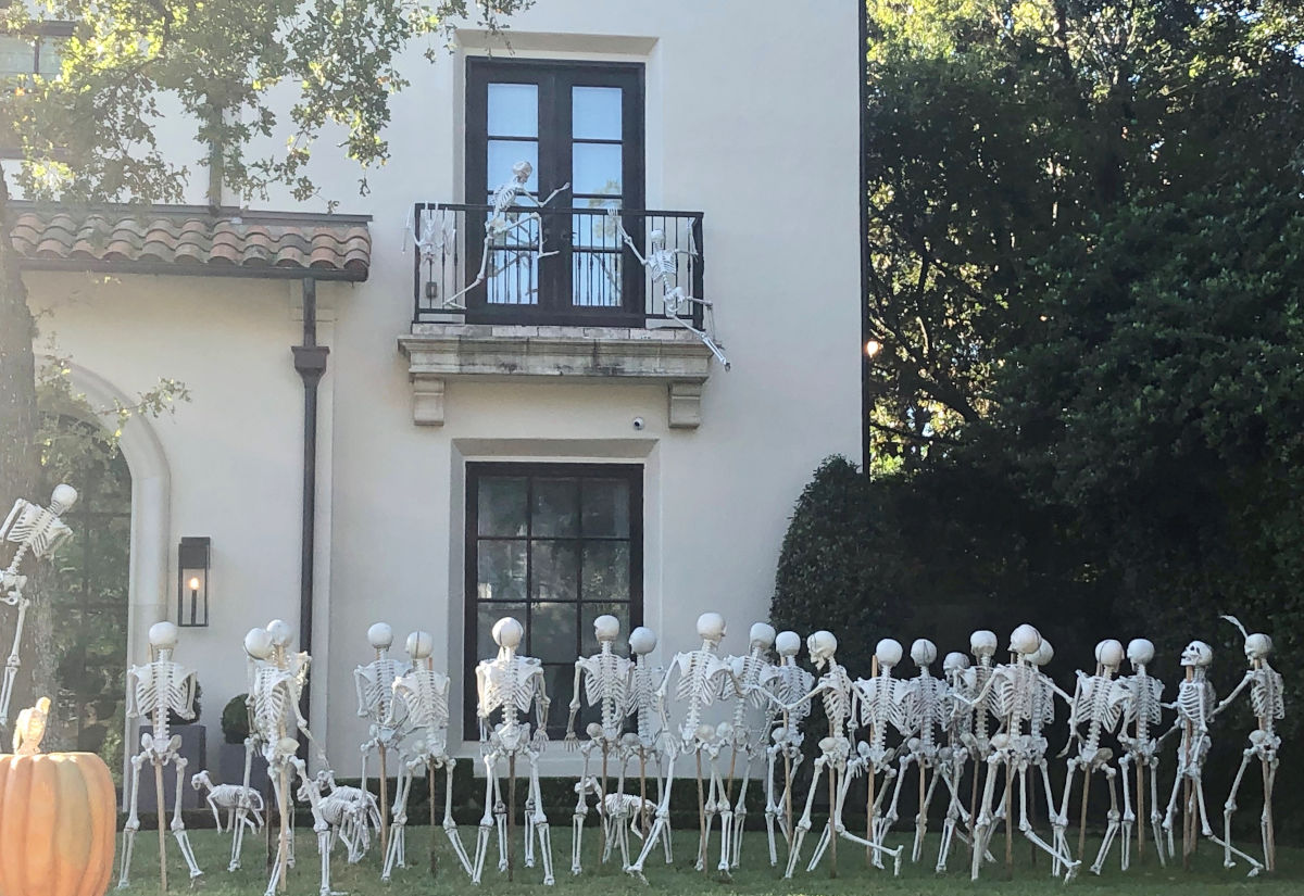 Skeletons climbing clearance house